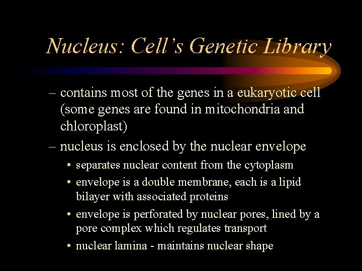 Nucleus: Cell’s Genetic Library – contains most of the genes in a eukaryotic cell