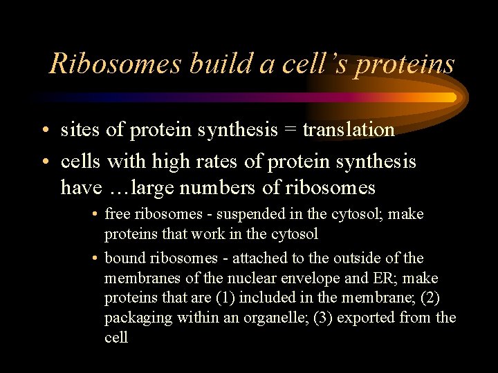 Ribosomes build a cell’s proteins • sites of protein synthesis = translation • cells