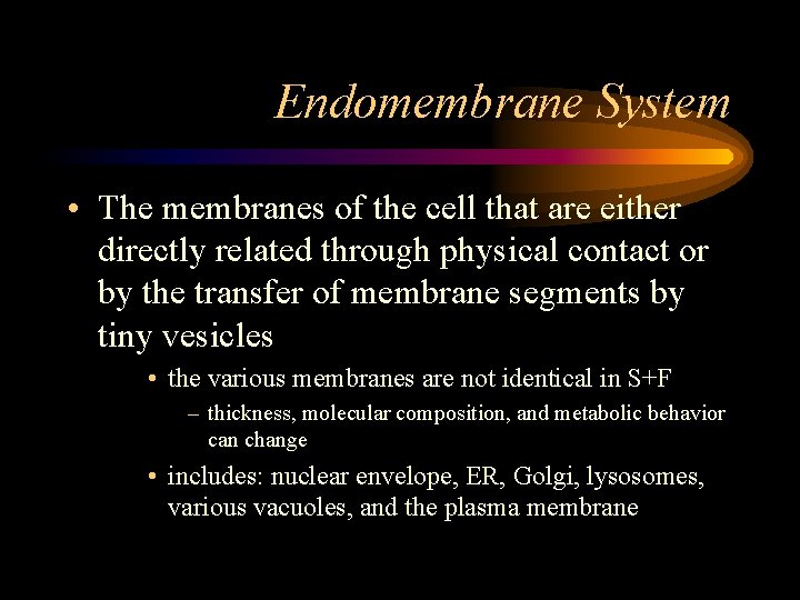 Endomembrane System • The membranes of the cell that are either directly related through