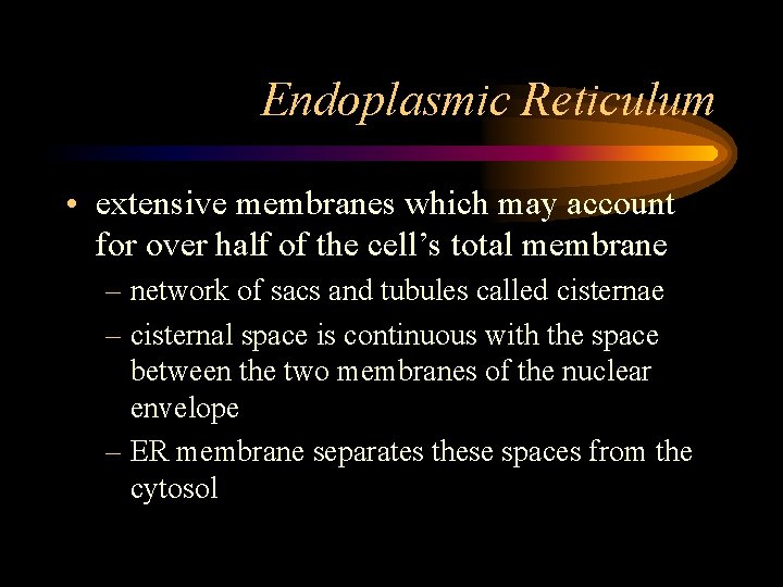 Endoplasmic Reticulum • extensive membranes which may account for over half of the cell’s