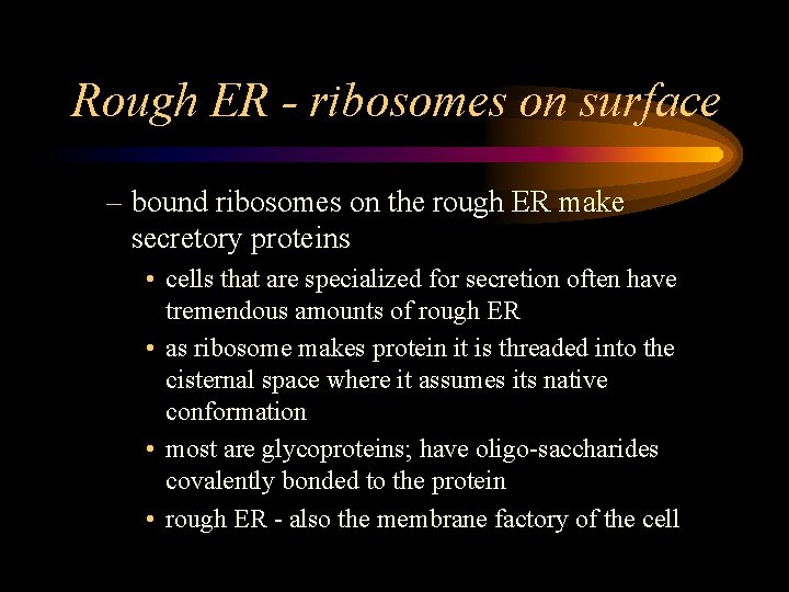 Rough ER - ribosomes on surface – bound ribosomes on the rough ER make