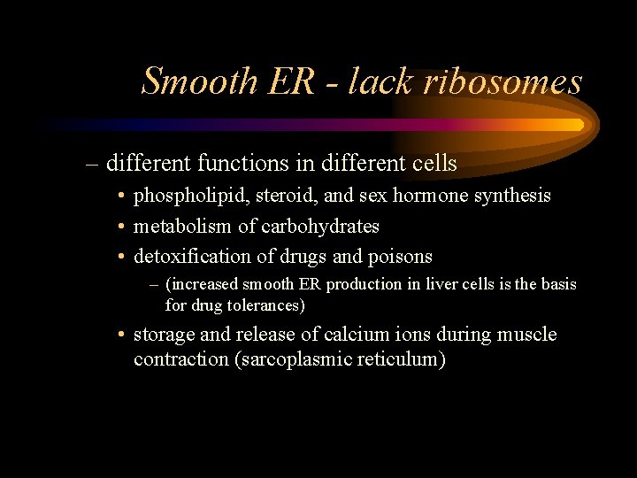 Smooth ER - lack ribosomes – different functions in different cells • phospholipid, steroid,