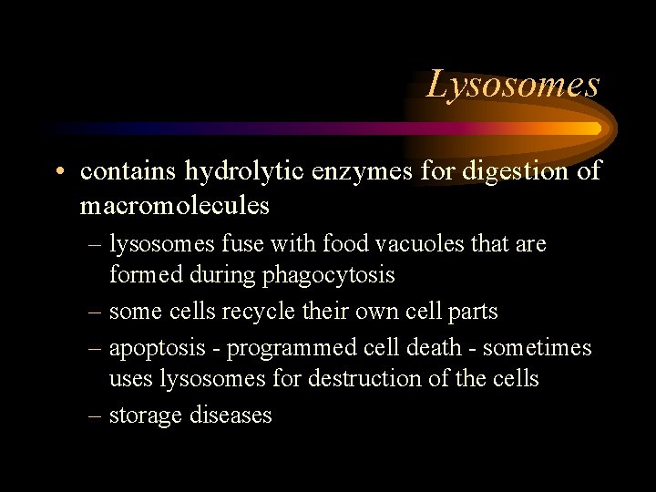Lysosomes • contains hydrolytic enzymes for digestion of macromolecules – lysosomes fuse with food
