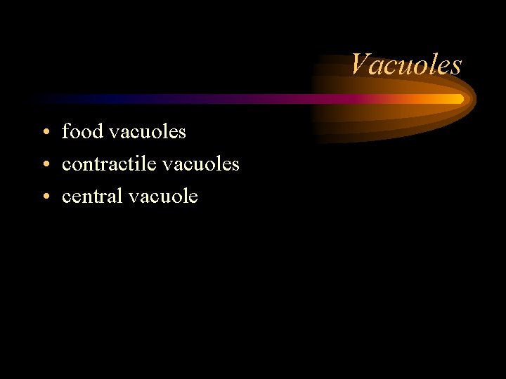 Vacuoles • food vacuoles • contractile vacuoles • central vacuole 