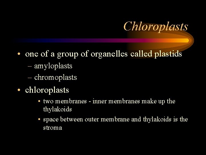 Chloroplasts • one of a group of organelles called plastids – amyloplasts – chromoplasts