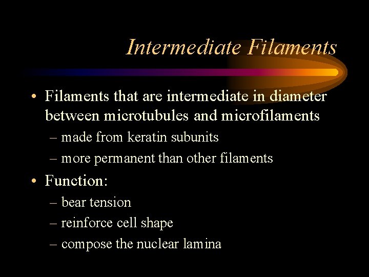Intermediate Filaments • Filaments that are intermediate in diameter between microtubules and microfilaments –