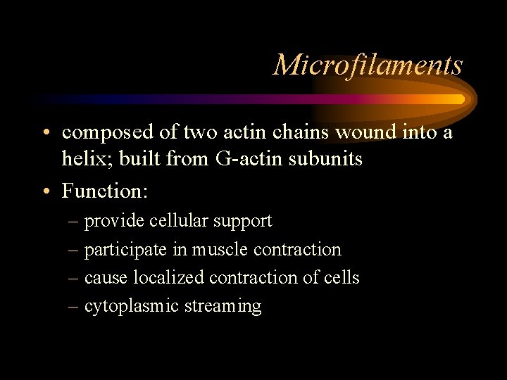 Microfilaments • composed of two actin chains wound into a helix; built from G-actin
