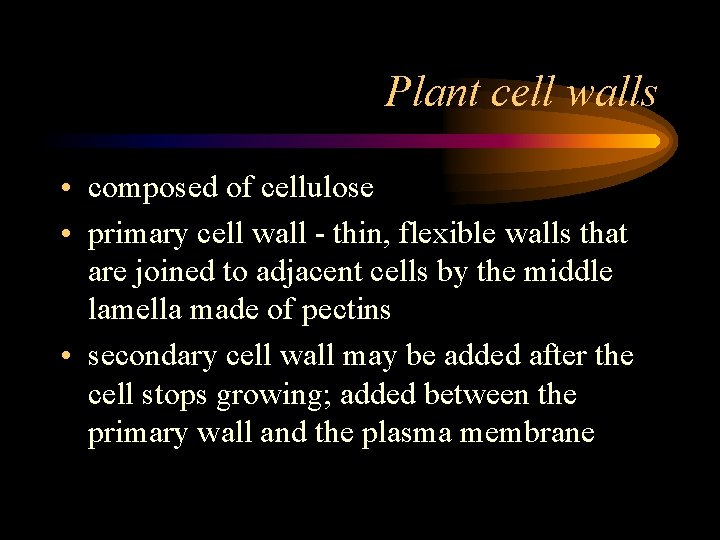 Plant cell walls • composed of cellulose • primary cell wall - thin, flexible