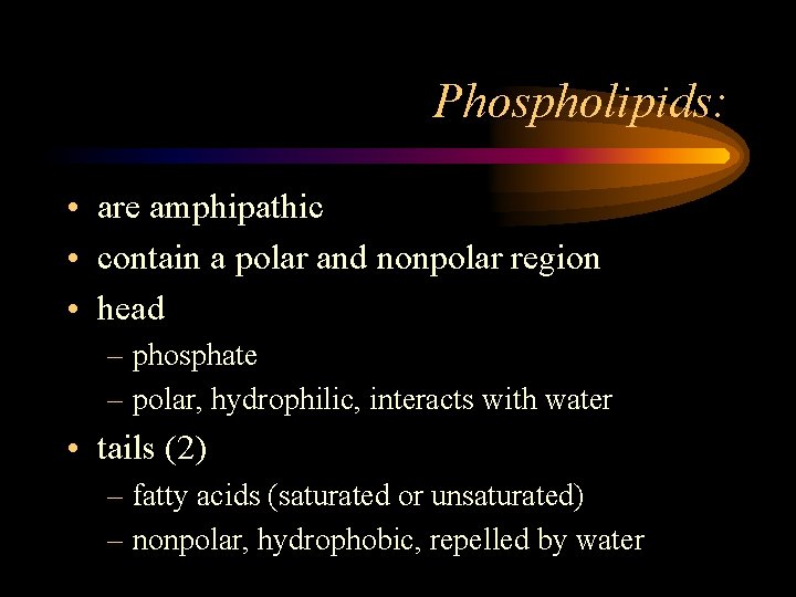 Phospholipids: • are amphipathic • contain a polar and nonpolar region • head –