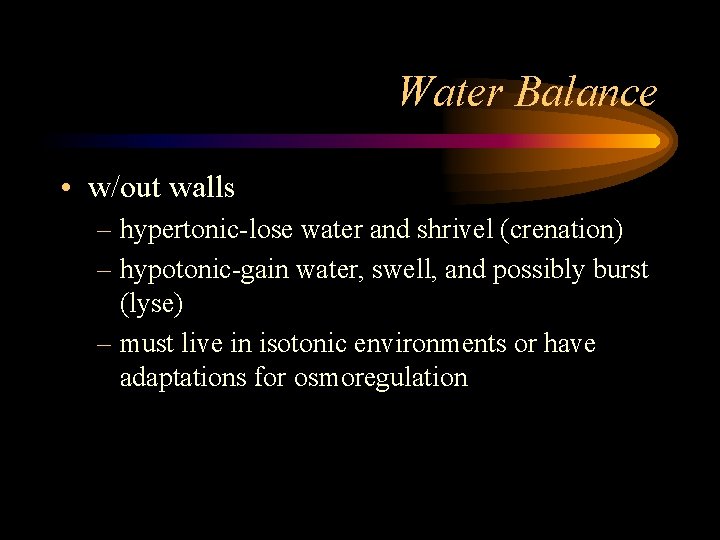 Water Balance • w/out walls – hypertonic-lose water and shrivel (crenation) – hypotonic-gain water,