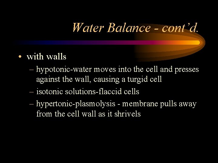 Water Balance - cont’d. • with walls – hypotonic-water moves into the cell and