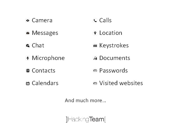 Camera Calls Messages Location Chat Keystrokes Microphone Documents Contacts Passwords Calendars Visited websites And