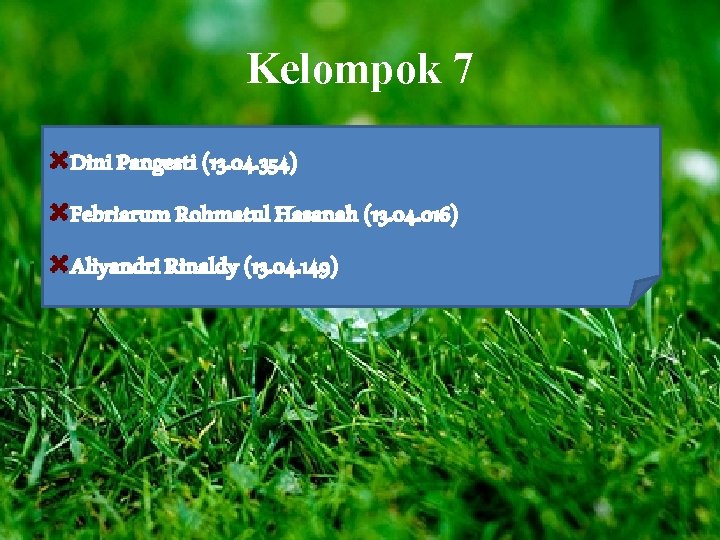 Kelompok 7 Dini Pangesti (13. 04. 354) Febriarum Rohmatul Hasanah (13. 04. 016) Aliyandri