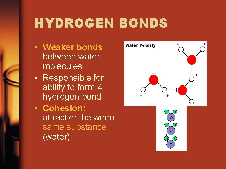 HYDROGEN BONDS • Weaker bonds between water molecules • Responsible for ability to form