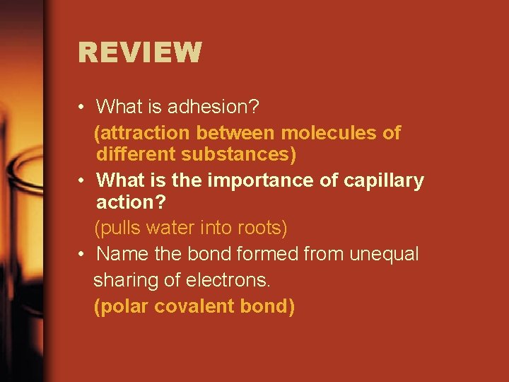 REVIEW • What is adhesion? (attraction between molecules of different substances) • What is