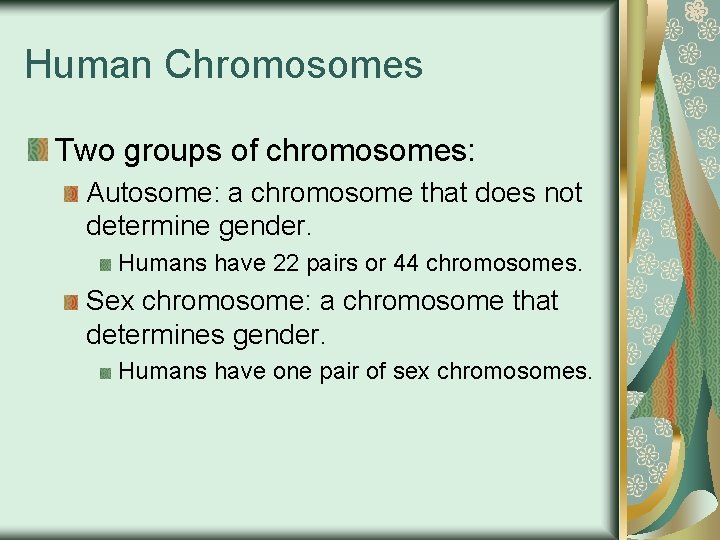 Human Chromosomes Two groups of chromosomes: Autosome: a chromosome that does not determine gender.