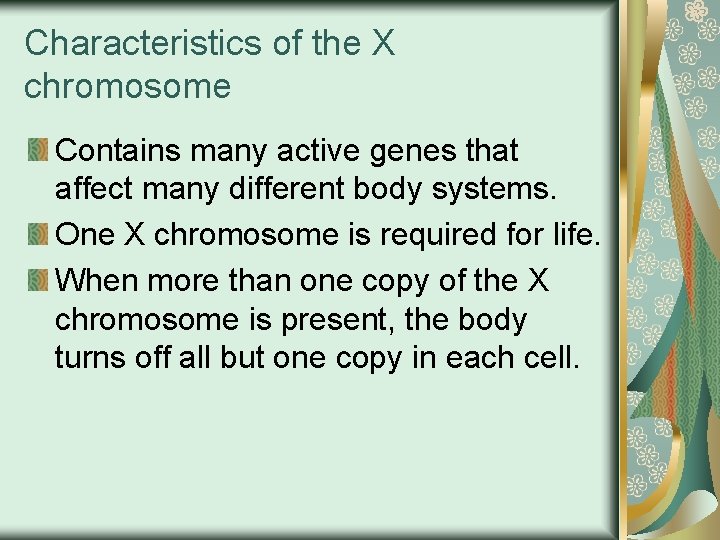 Characteristics of the X chromosome Contains many active genes that affect many different body