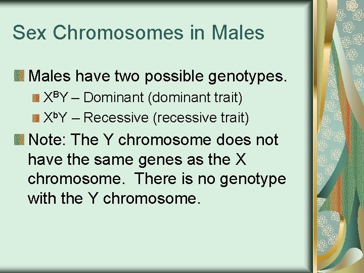 Sex Chromosomes in Males have two possible genotypes. XBY – Dominant (dominant trait) Xb.