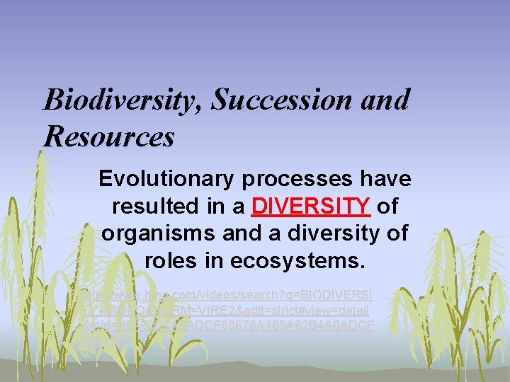 Biodiversity, Succession and Resources Evolutionary processes have resulted in a DIVERSITY of organisms and