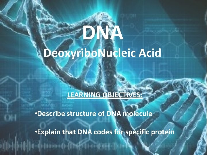 DNA Deoxyribo. Nucleic Acid LEARNING OBJECTIVES: • Describe structure of DNA molecule • Explain