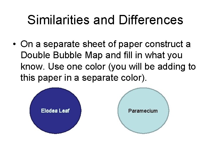 Similarities and Differences • On a separate sheet of paper construct a Double Bubble