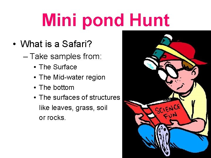 Mini pond Hunt • What is a Safari? – Take samples from: • •