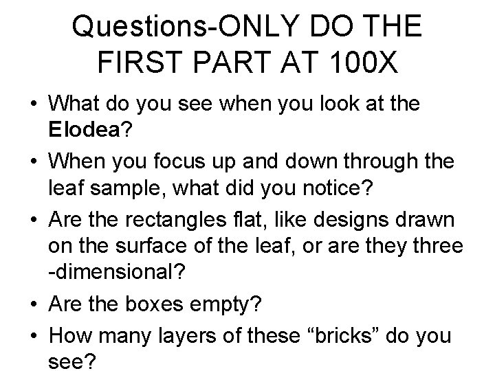 Questions-ONLY DO THE FIRST PART AT 100 X • What do you see when