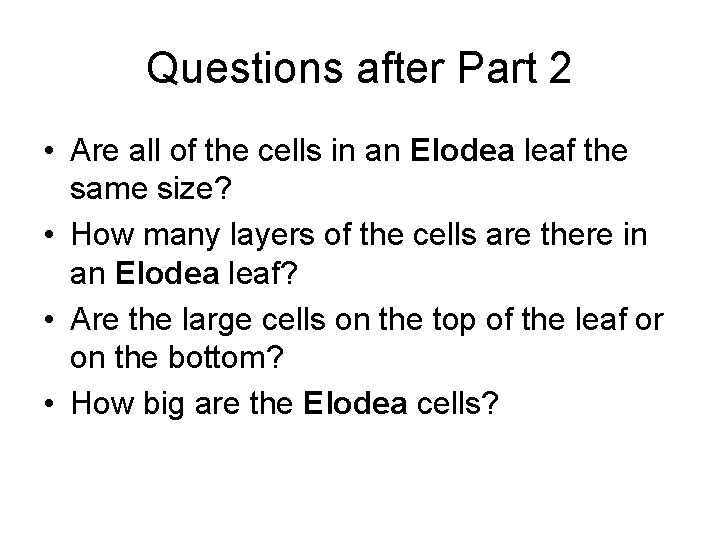 Questions after Part 2 • Are all of the cells in an Elodea leaf