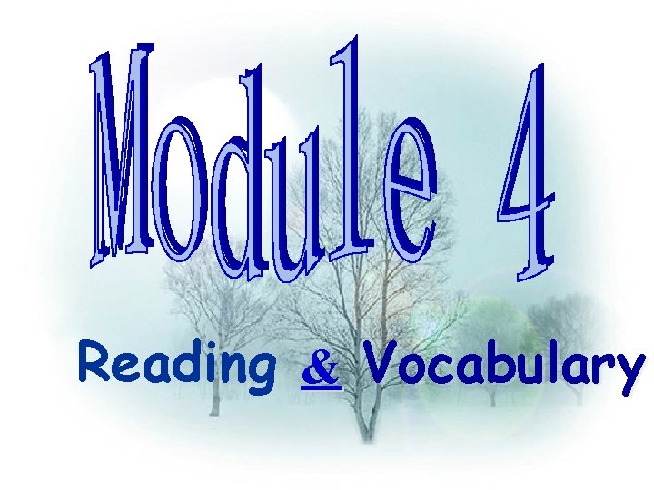 Reading & Vocabulary 