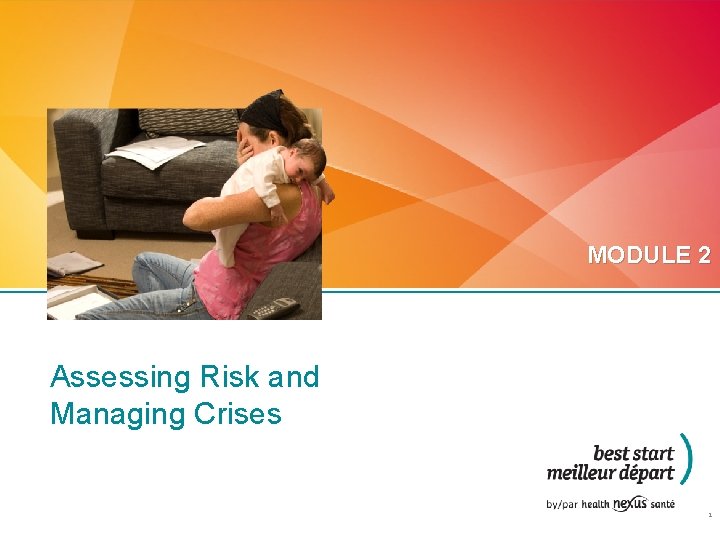 MODULE 2 Assessing Risk and Managing Crises 1