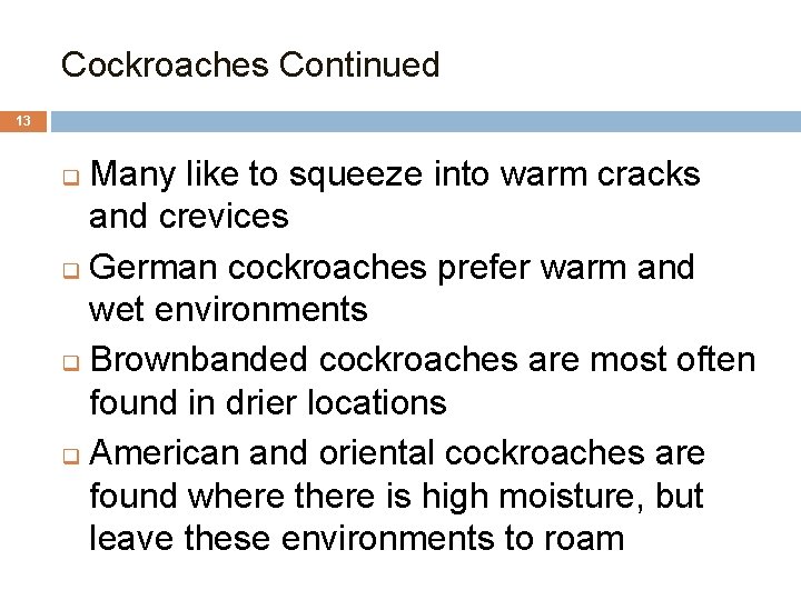 Cockroaches Continued 13 Many like to squeeze into warm cracks and crevices q German