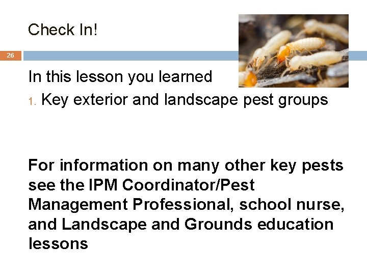 Check In! 26 In this lesson you learned 1. Key exterior and landscape pest