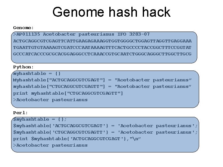 Genome hash hack Genome: >AP 011135 Acetobacter pasteurianus IFO 3283 -07 ACTGCAGGCGTCGAGTTCATTGAAGAGAAAGGTGGTGGGGCTGGAGTTAGGTTGAGGAAA TGAATTGTGTAAAAGTCGATCCCAATAAAAGTTTCACTGCCCCTACCGGCTTTCCGGTAT GCCCATCACCCGCGCACGGAGGGCCTCAAACCGTGCAATCTGGGCAGGGCTTGCG