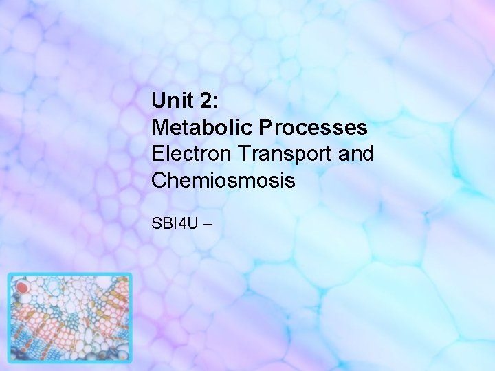 Unit 2: Metabolic Processes Electron Transport and Chemiosmosis SBI 4 U – 