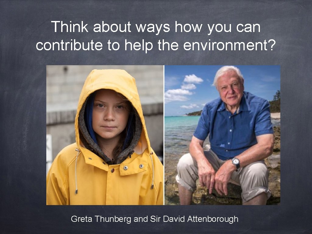 Think about ways how you can contribute to help the environment? Greta Thunberg and