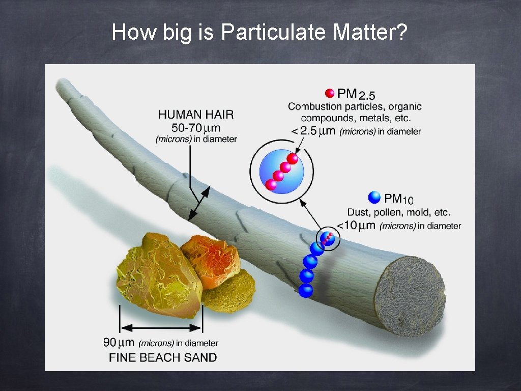 How big is Particulate Matter? 