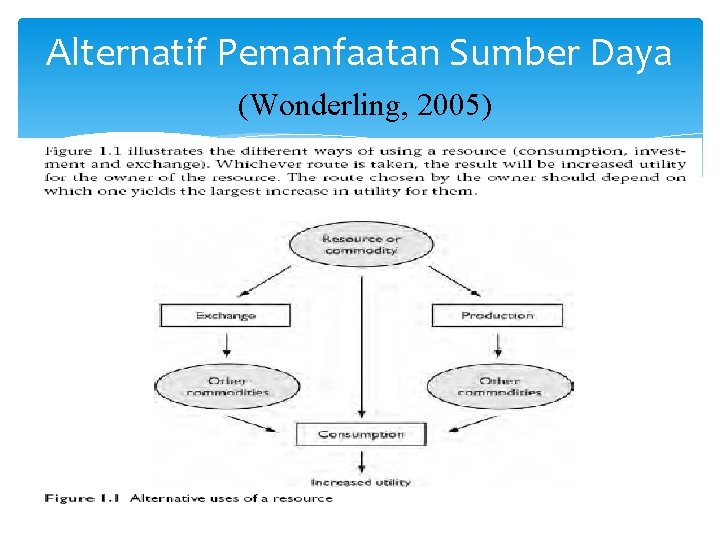 Alternatif Pemanfaatan Sumber Daya (Wonderling, 2005) 