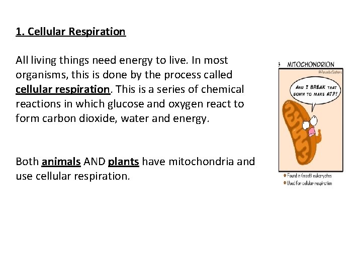 1. Cellular Respiration All living things need energy to live. In most organisms, this