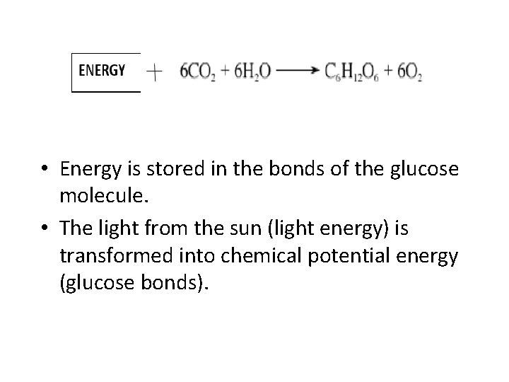  • Energy is stored in the bonds of the glucose molecule. • The