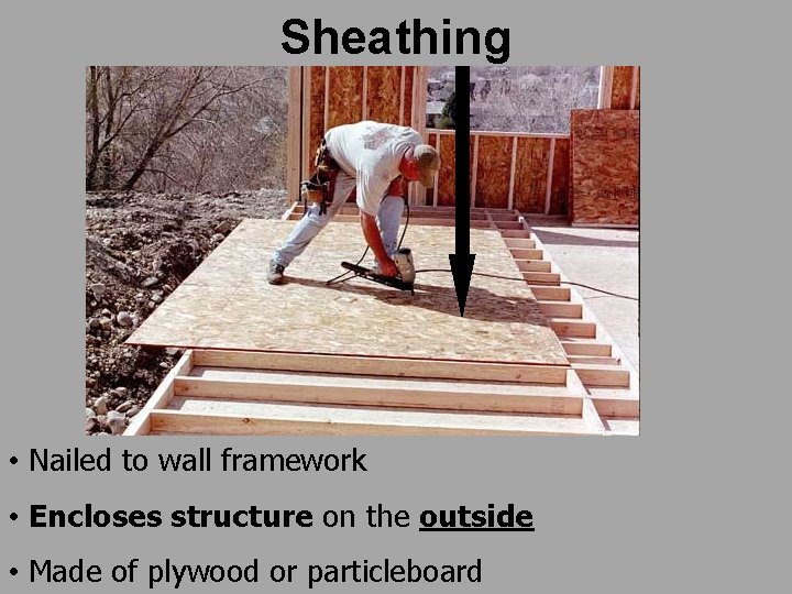 Sheathing • Nailed to wall framework • Encloses structure on the outside • Made