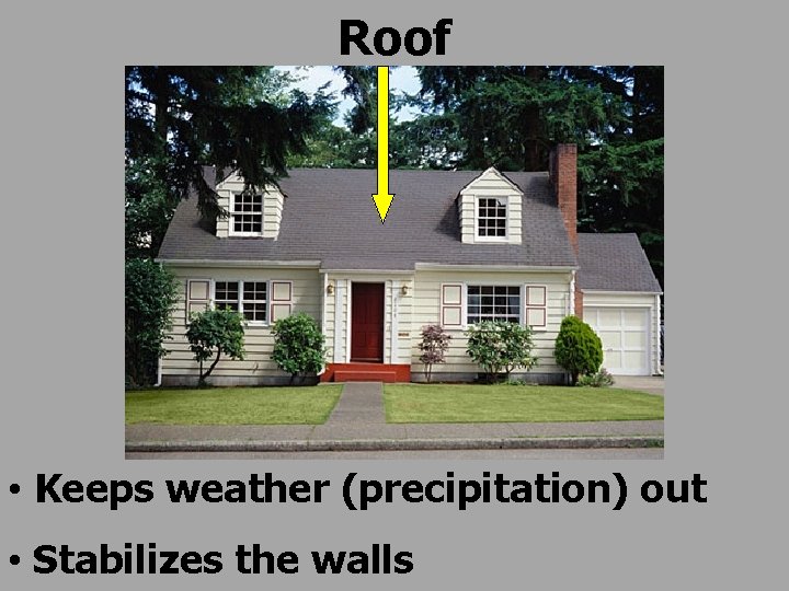 Roof • Keeps weather (precipitation) out • Stabilizes the walls 