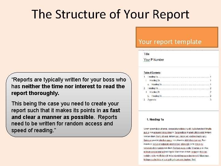 The Structure of Your Report Your report template “Reports are typically written for your