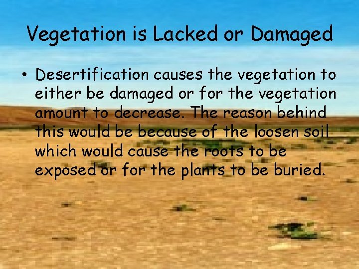 Vegetation is Lacked or Damaged • Desertification causes the vegetation to either be damaged