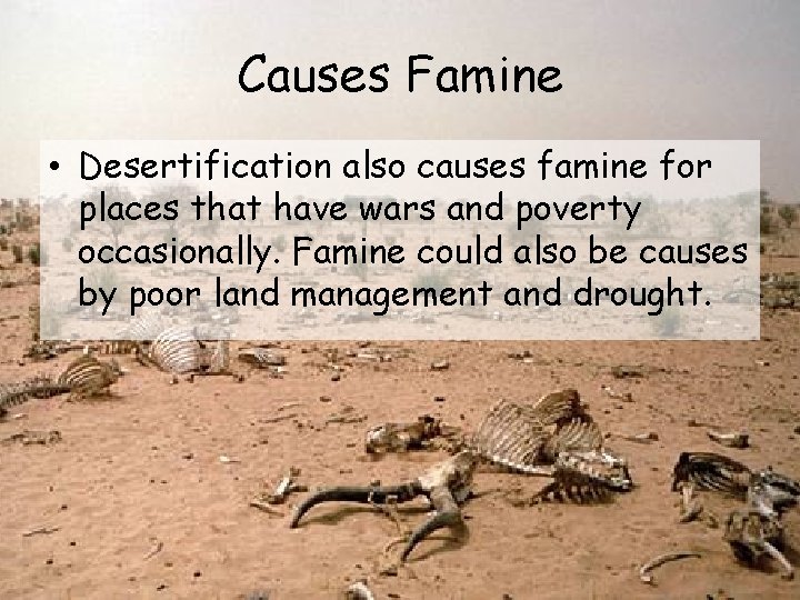 Causes Famine • Desertification also causes famine for places that have wars and poverty