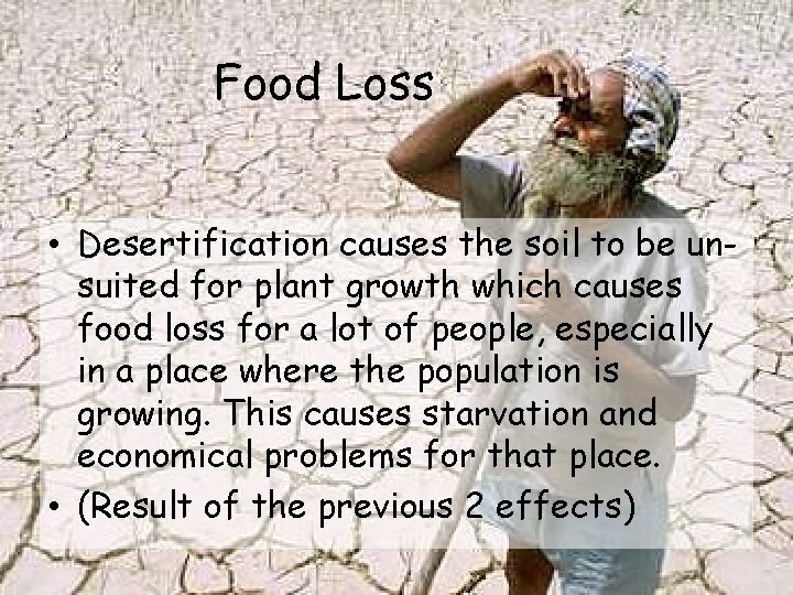 Food Loss • Desertification causes the soil to be unsuited for plant growth which