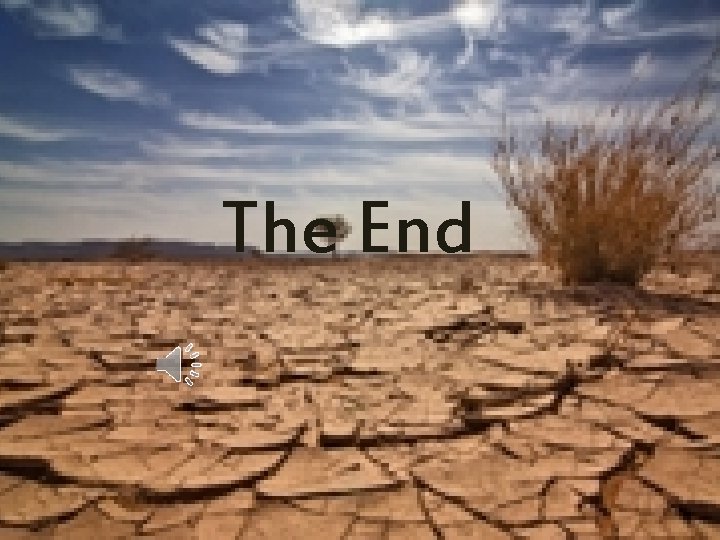 The End 