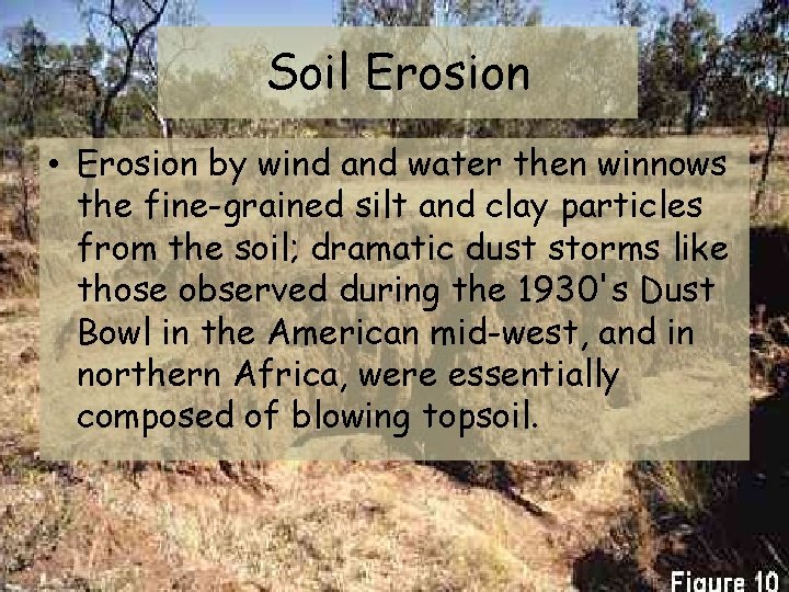 Soil Erosion • Erosion by wind and water then winnows the fine-grained silt and