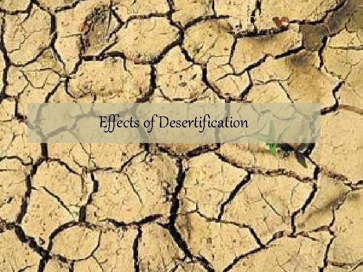 Effects of Desertification 