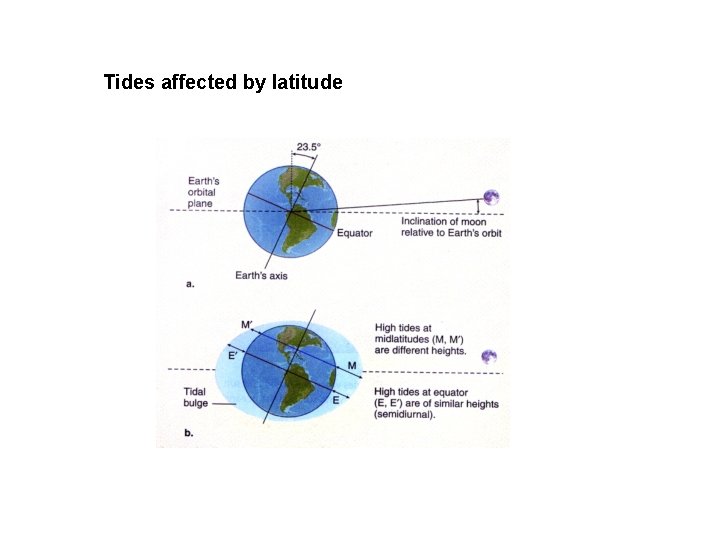 Tides affected by latitude 