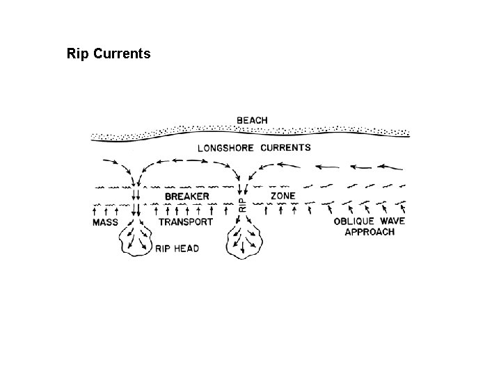 Rip Currents 